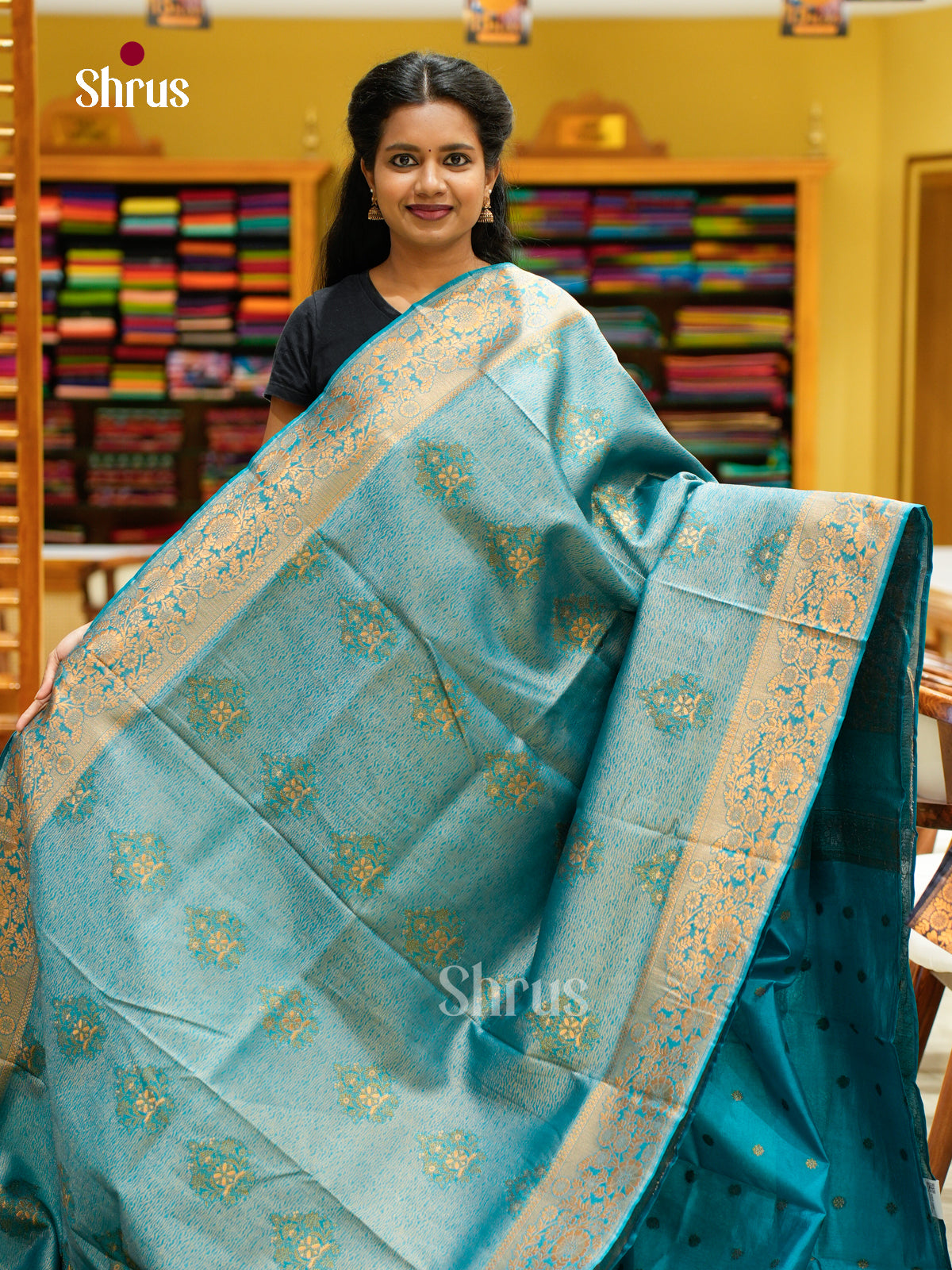 Bamboo silk Saree - EES23041 - Shop on Shrus.com