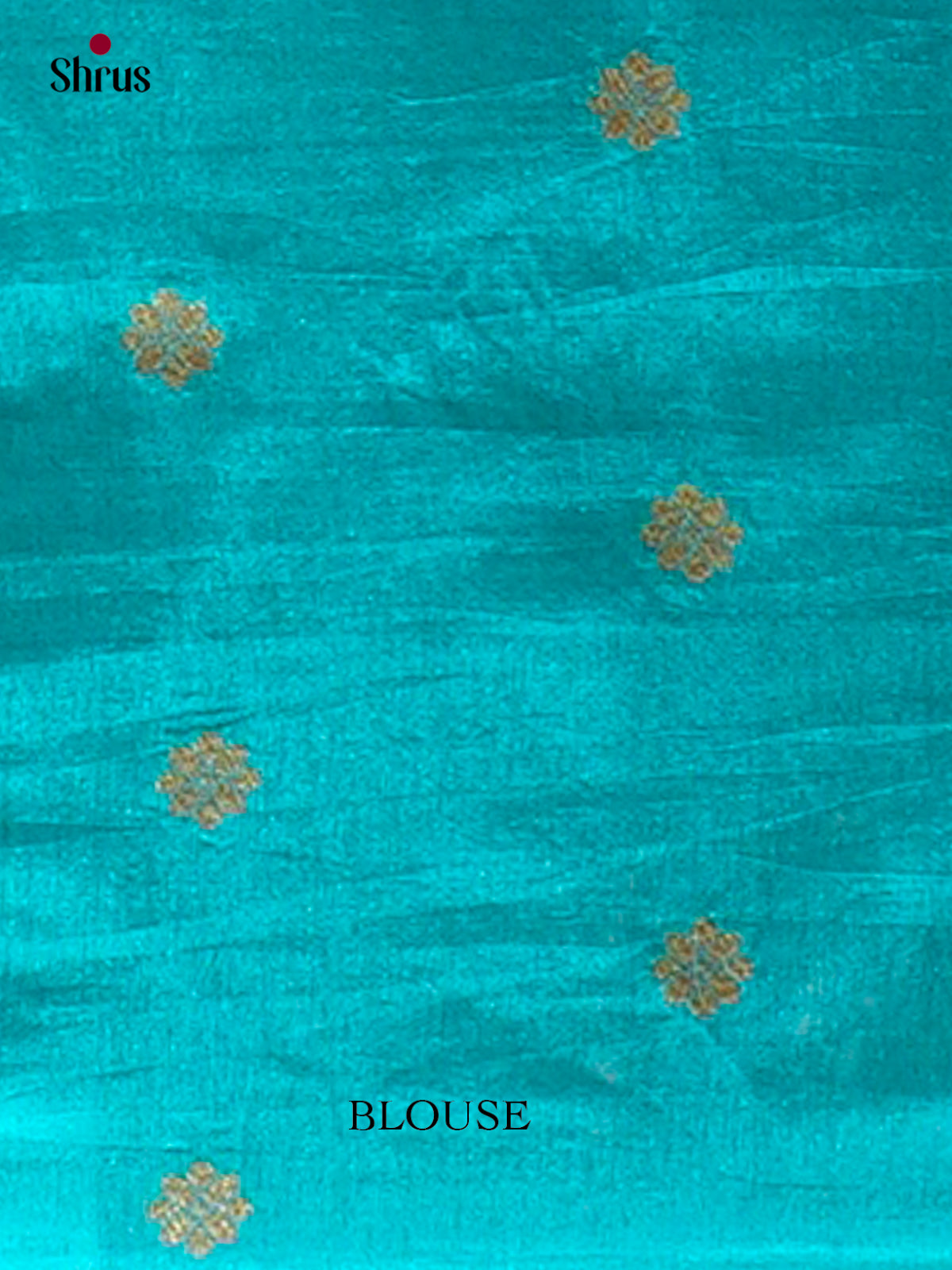 Bamboo silk Saree - EES23041 - Shop on Shrus.com