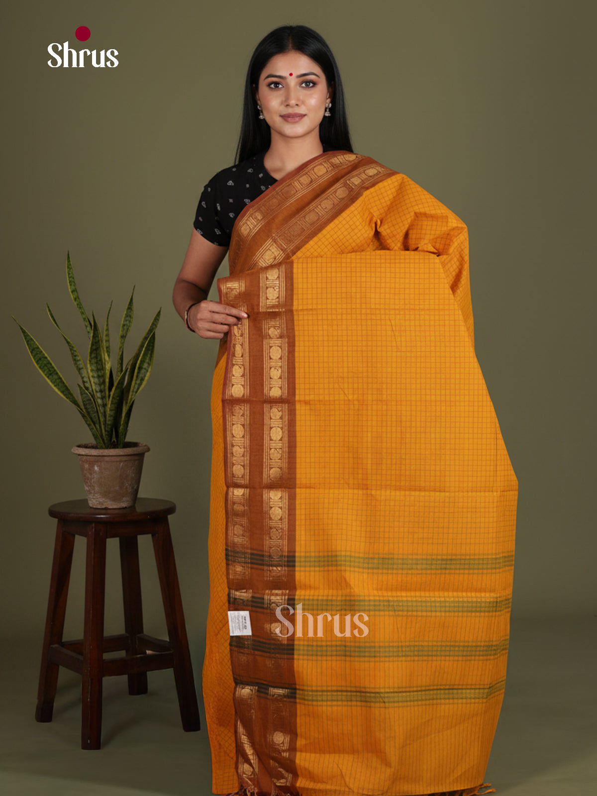 Chettinad Cotton Saree - EES26150