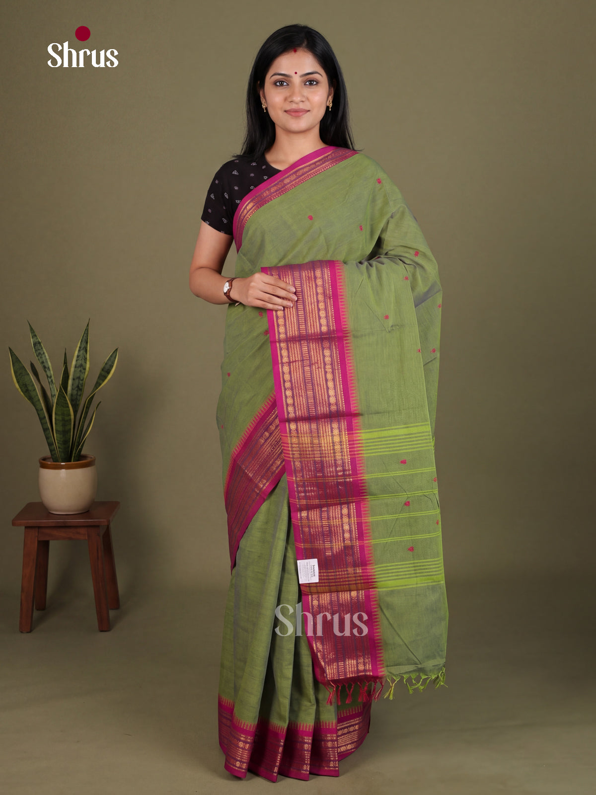 Chettinad Cotton Saree - EES26172