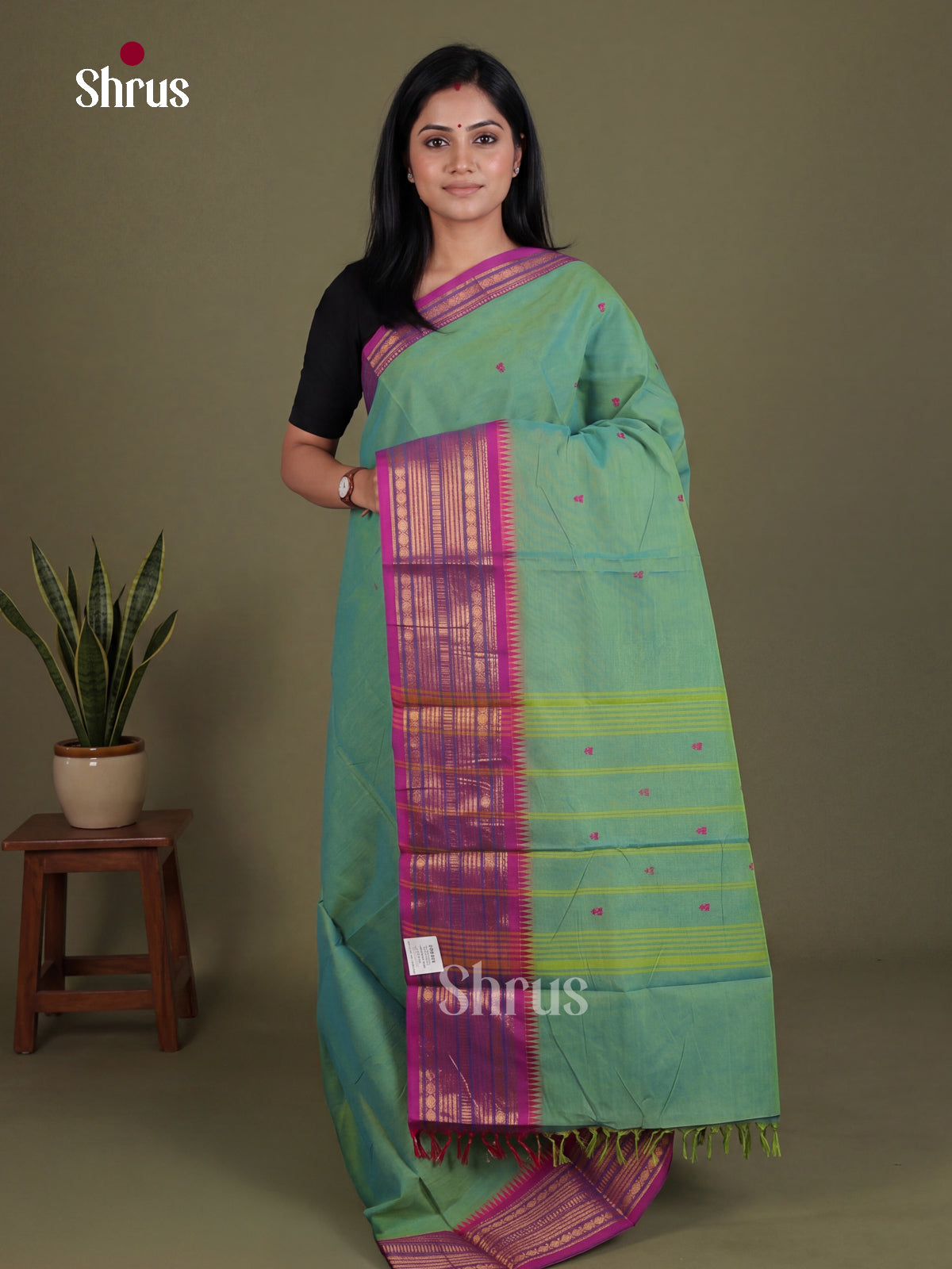 Chettinad Cotton Saree - EES26173