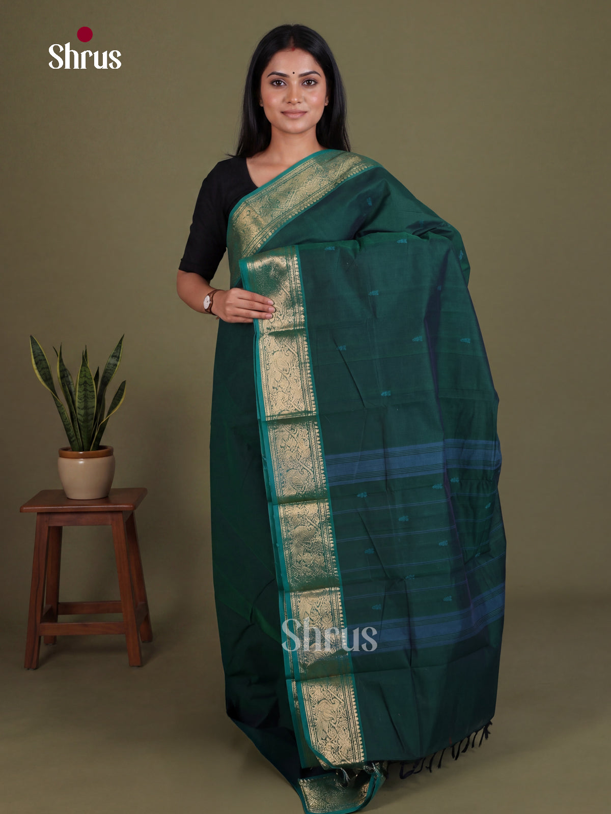 Chettinad Cotton Saree - EES26182