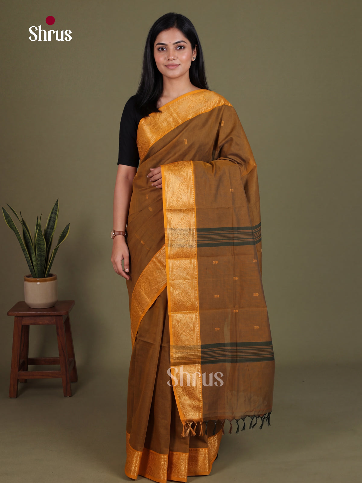 Chettinad Cotton Saree - EES26183
