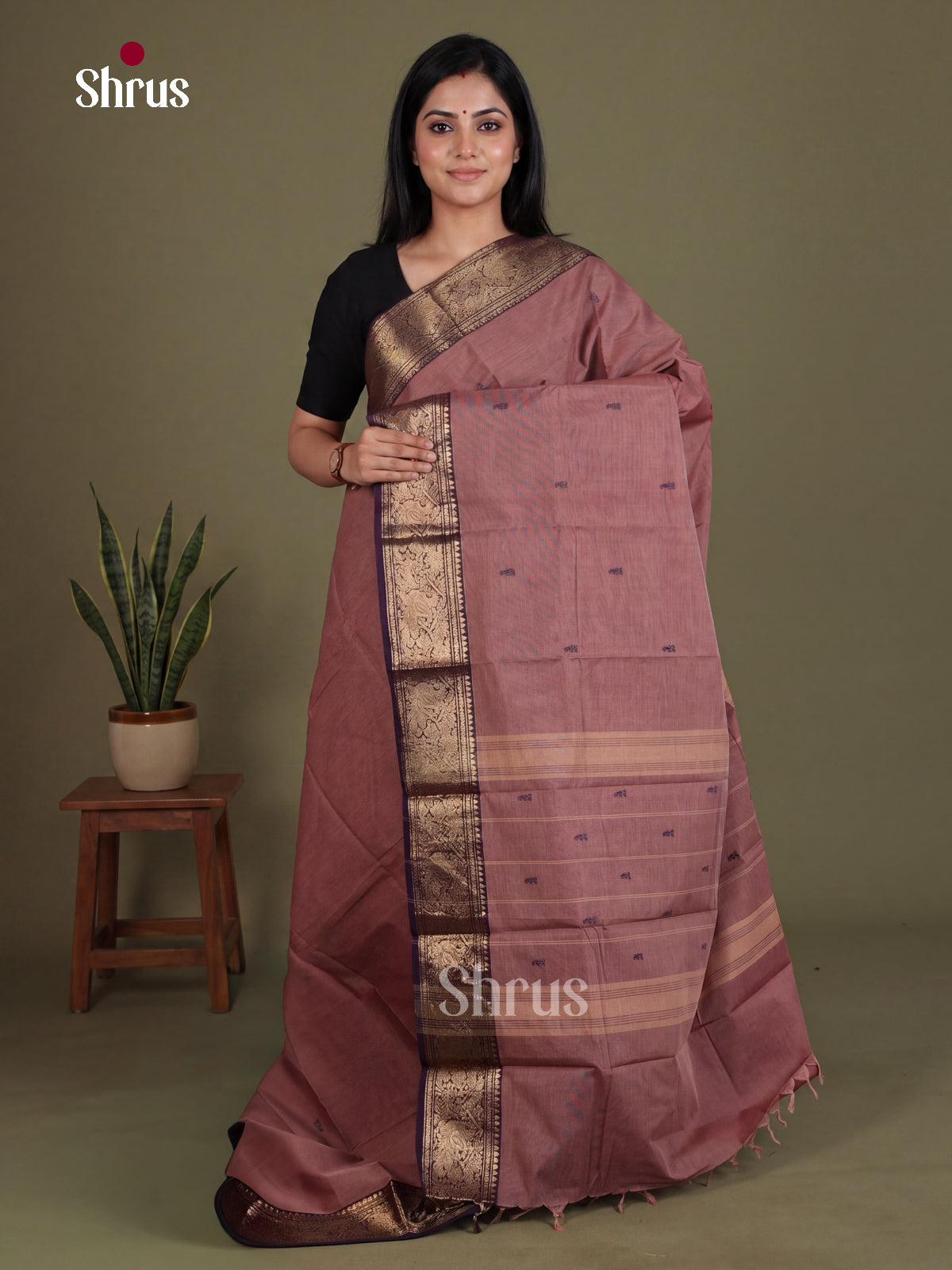 Chettinad Cotton Saree - EES26184
