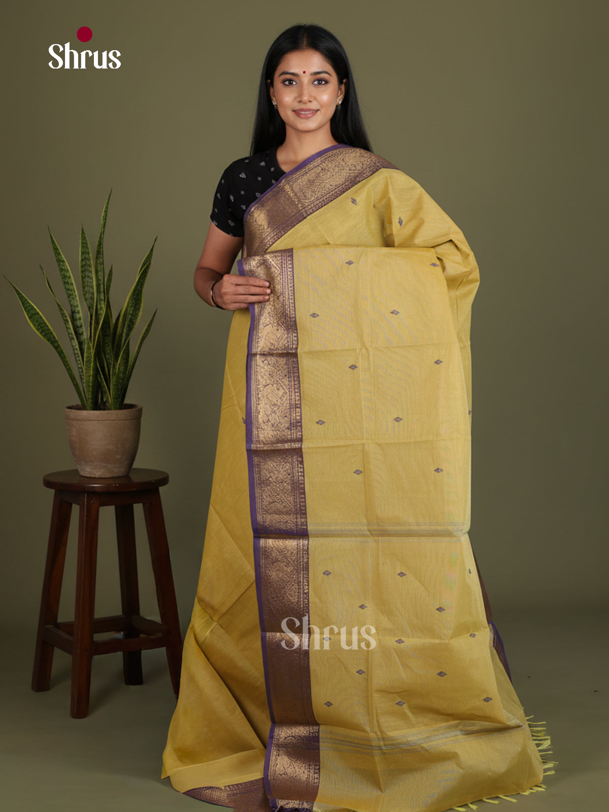 Chettinad Cotton Saree - EES26185