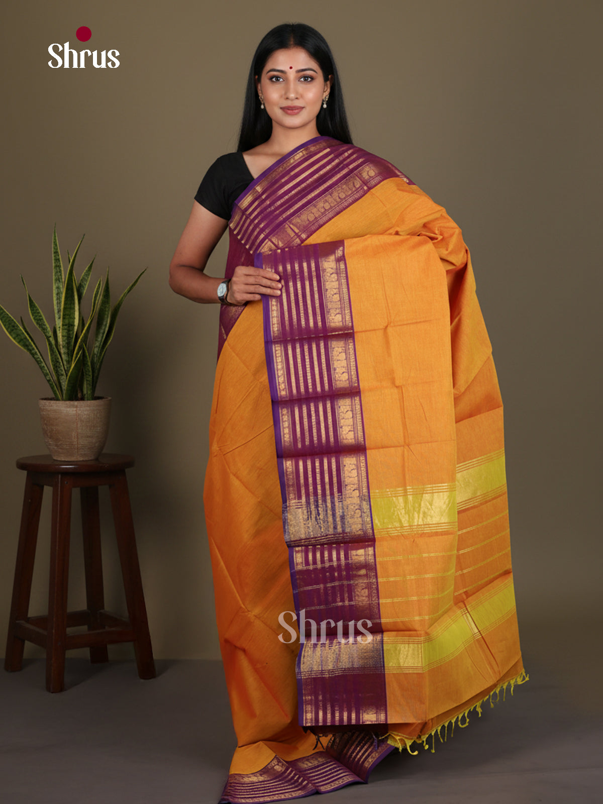 Chettinad Cotton Saree - EES26206