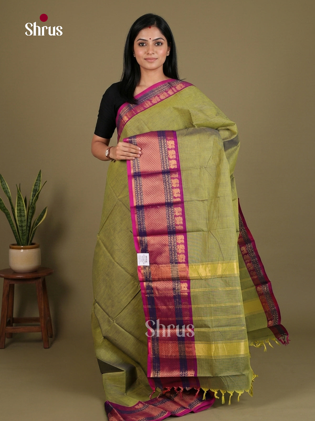 Chettinad Cotton Saree - EES26211