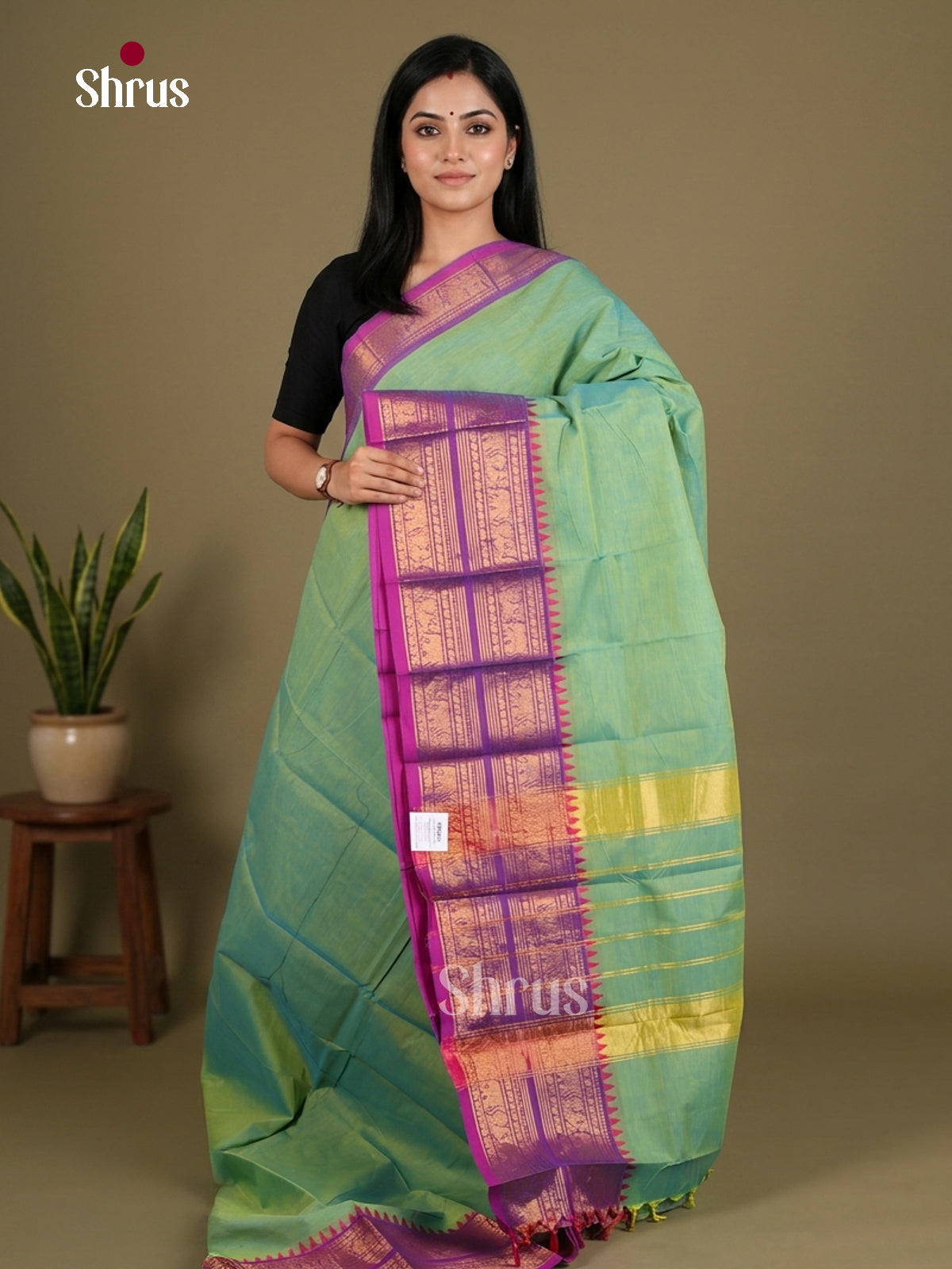 Chettinad Cotton Saree - EES26226