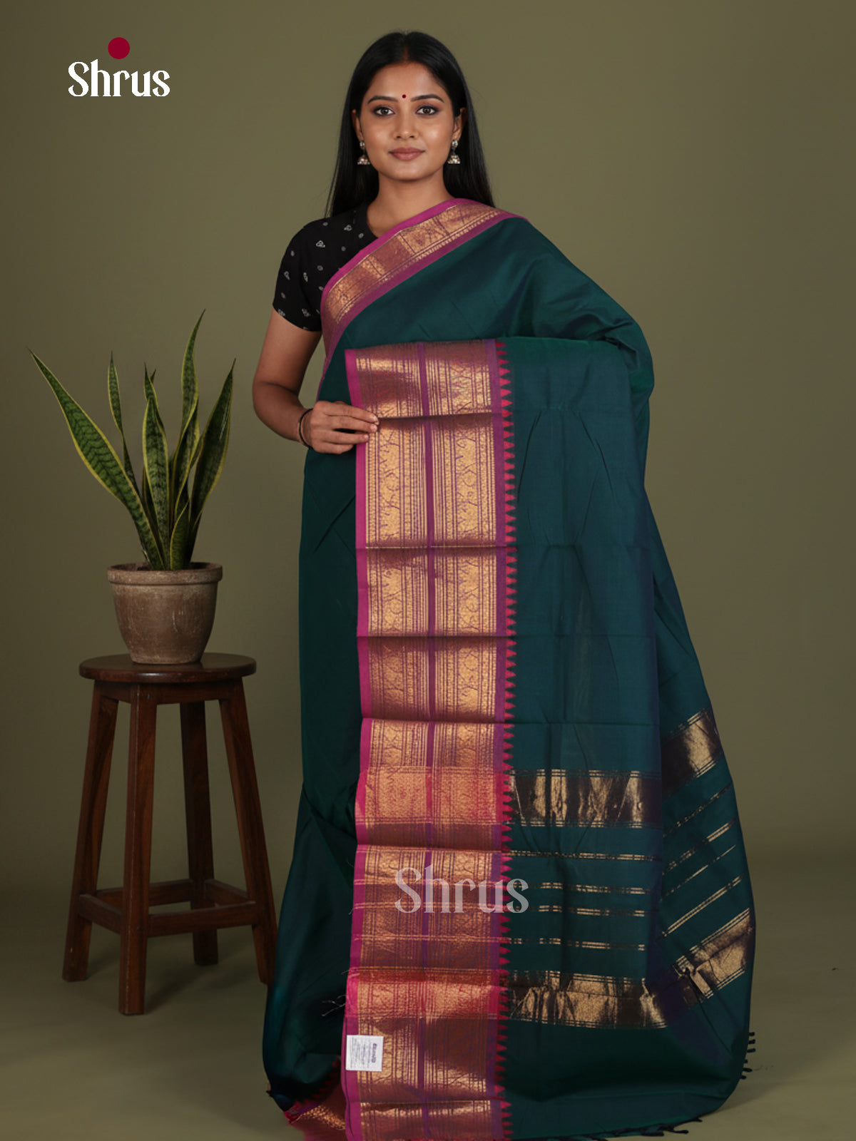 Chettinad Cotton Saree - EES26230