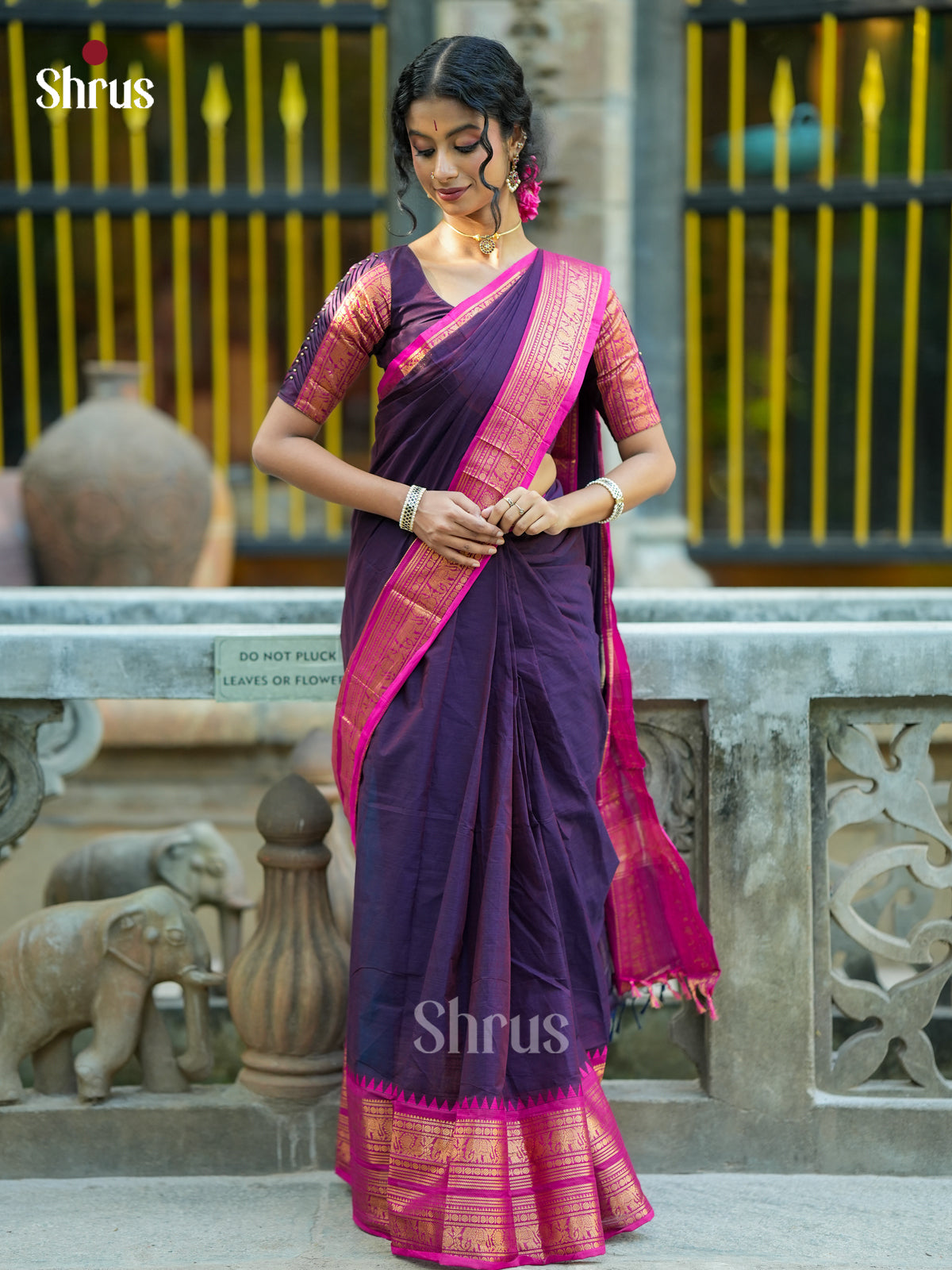 Violet & Pink - Chettinad Cotton Saree - EES26231 - Shop on Shrus.com