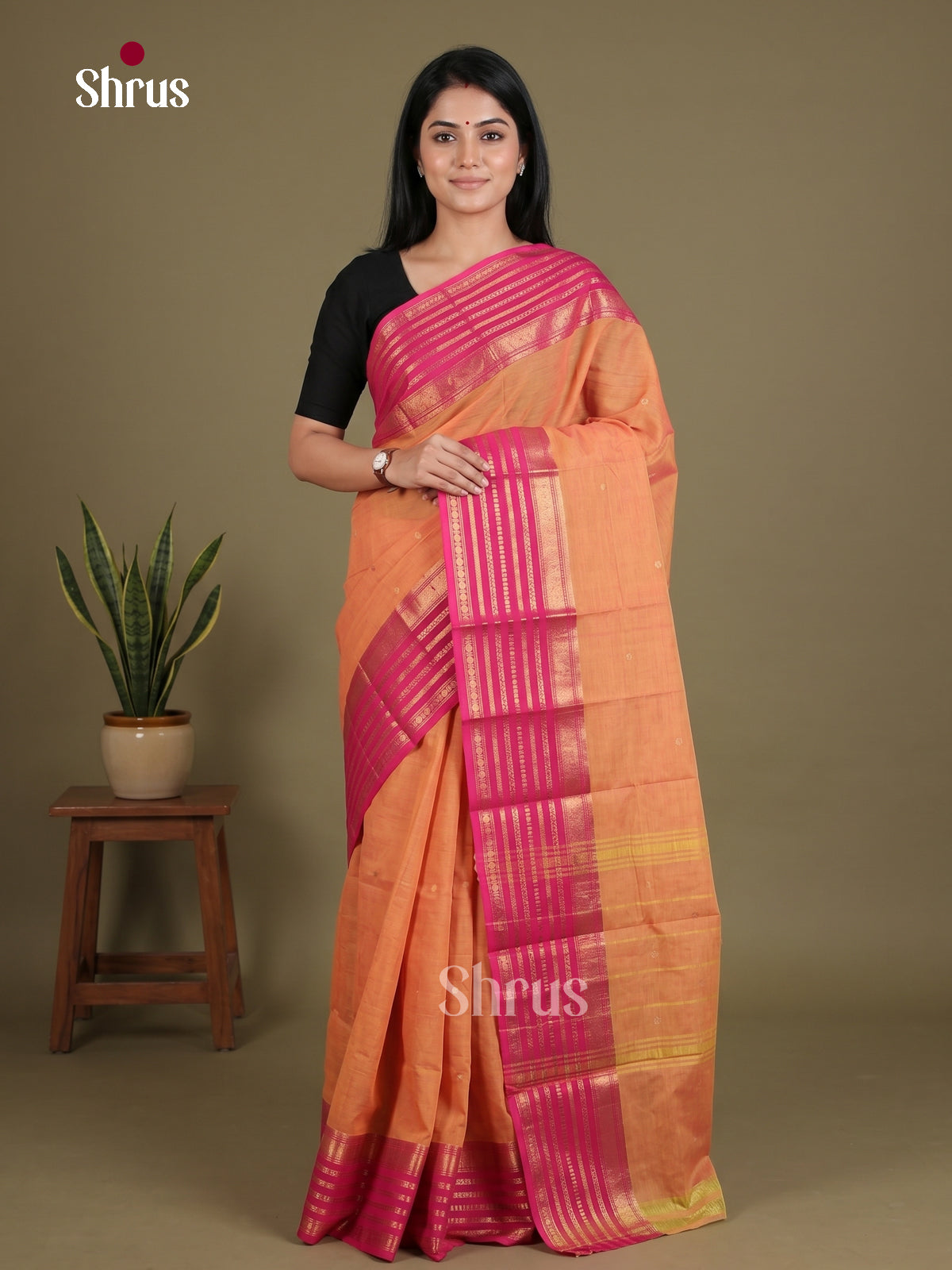 Chettinad Cotton Saree - EES26236