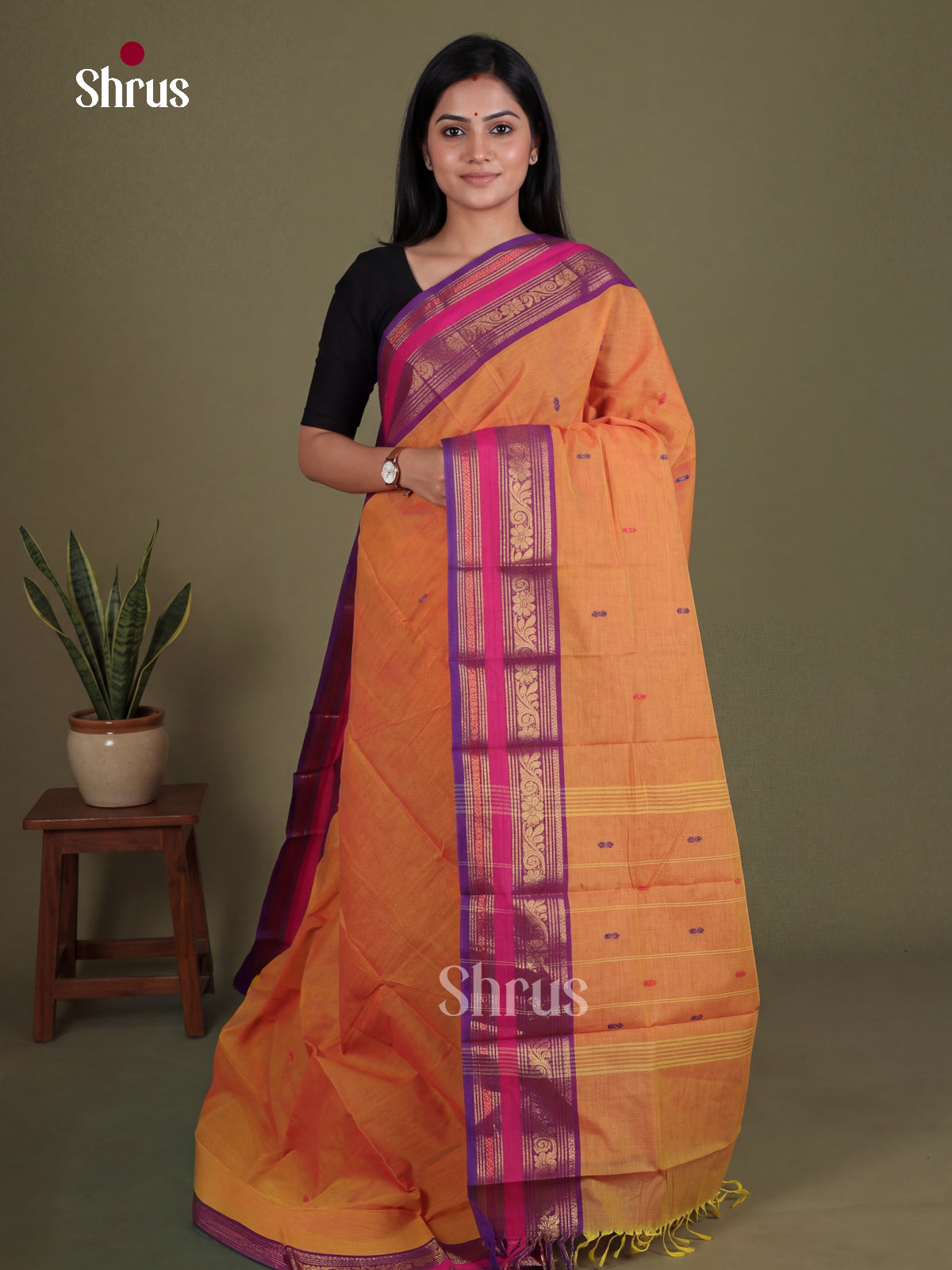Chettinad Cotton Saree - EES26237