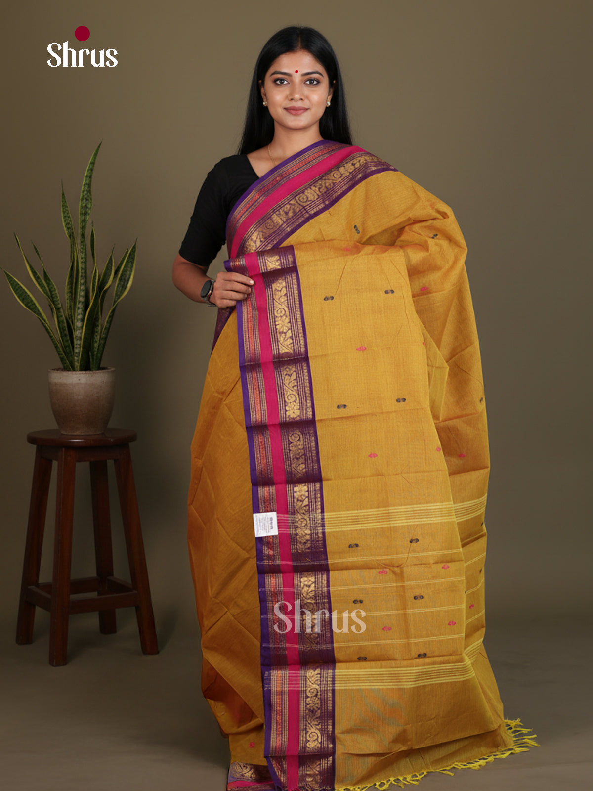Chettinad Cotton Saree - EES26238
