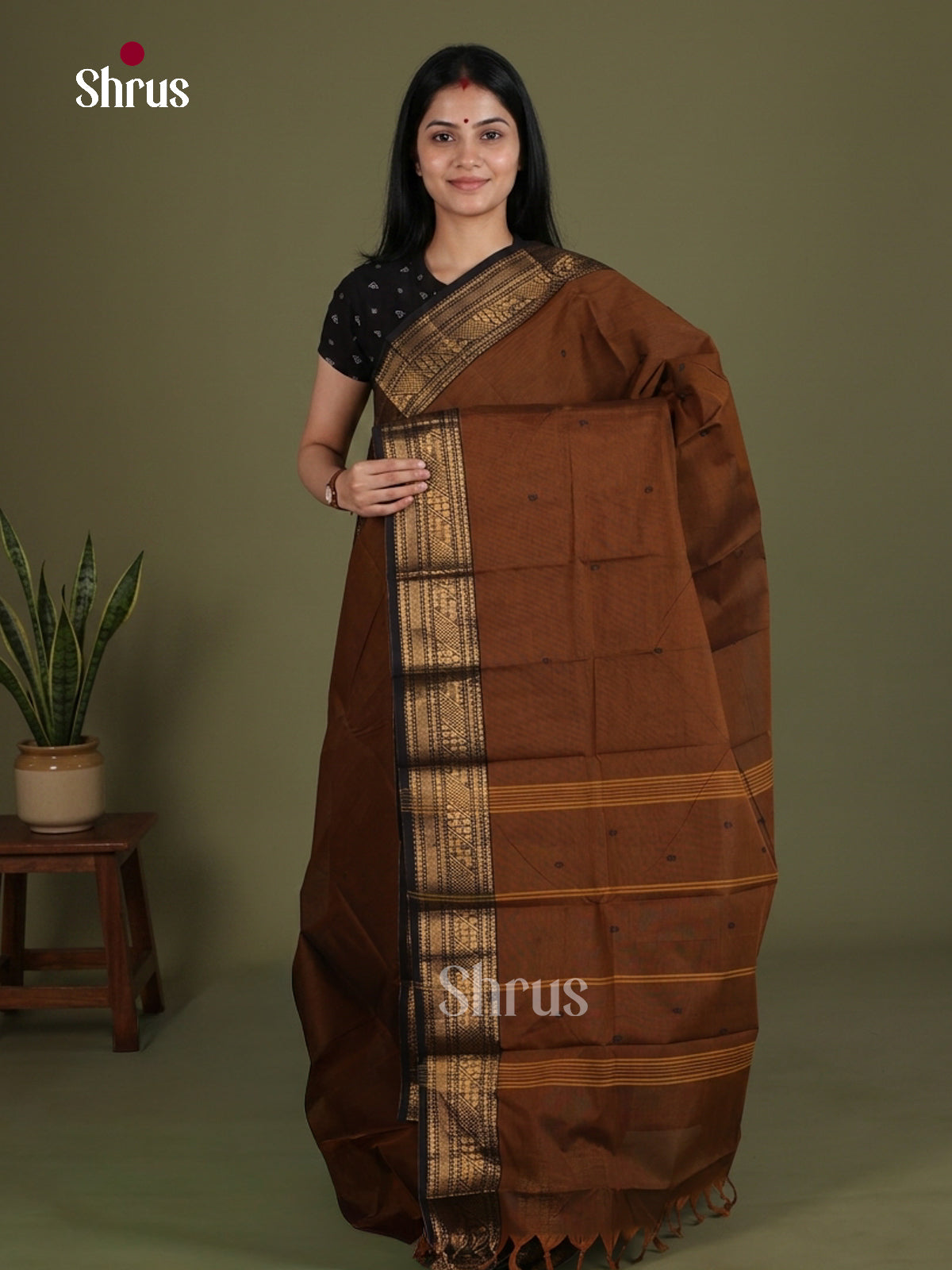 Chettinad Cotton Saree - EES26247