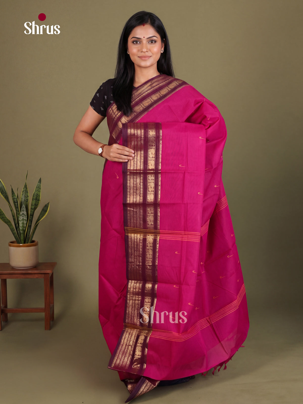 Chettinad Cotton Saree - EES26254