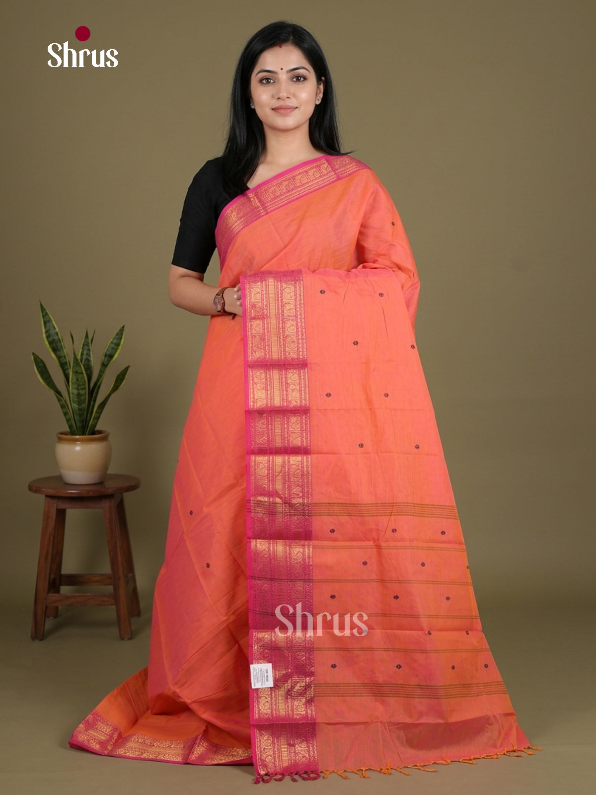Chettinad Cotton Saree - EES26255