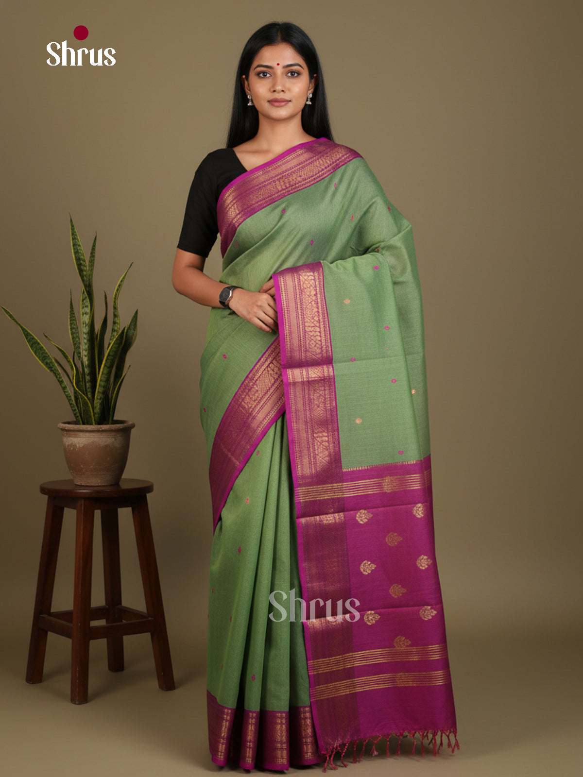 Chettinad Cotton Saree - EES26256