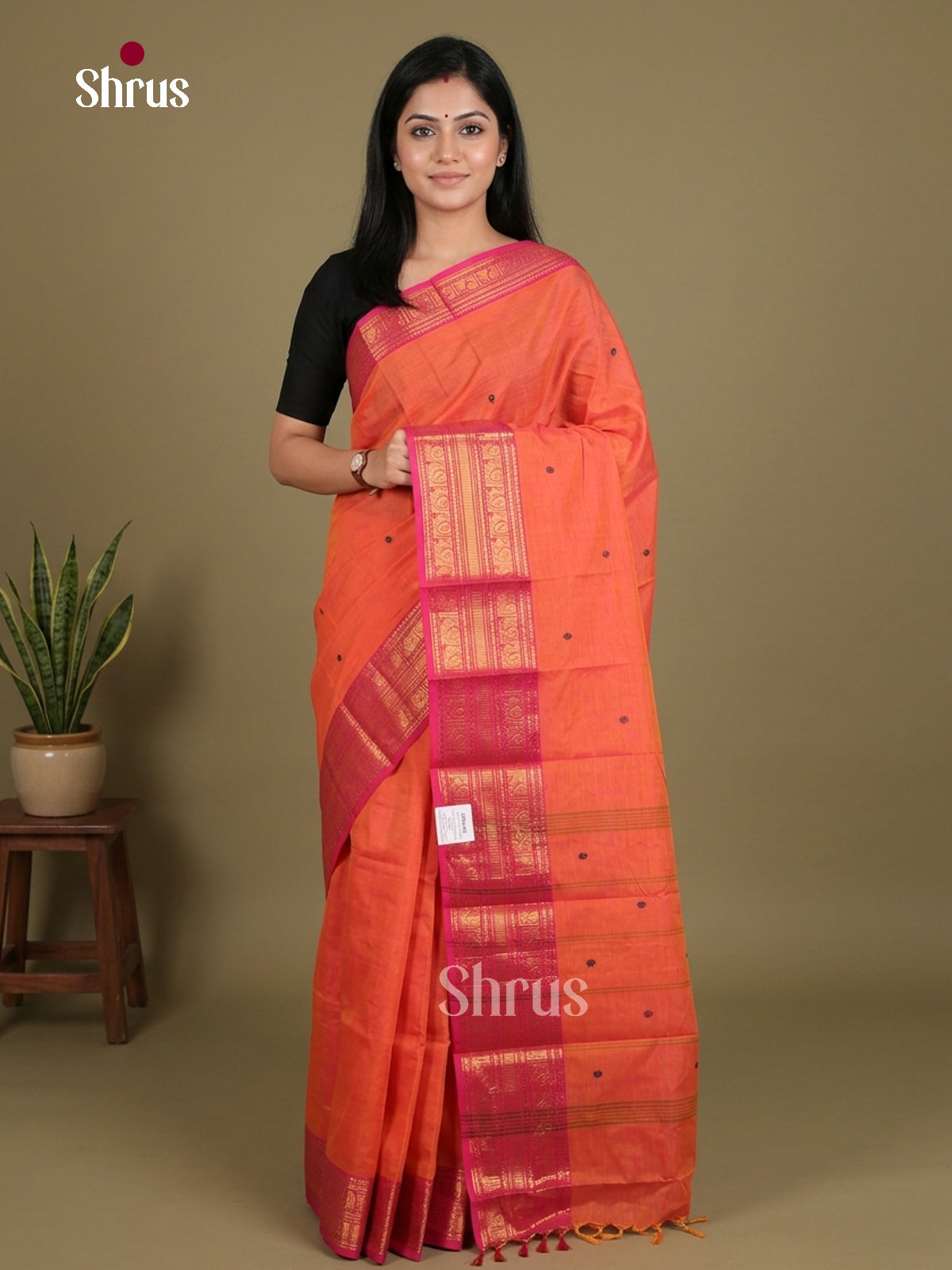 Chettinad Cotton Saree - EES26261