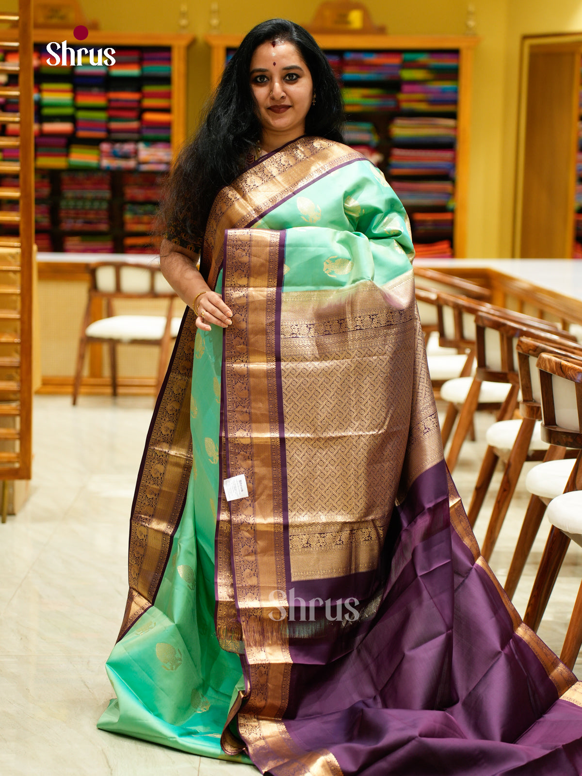 Kanchipuram silk Saree - EES27001 - Shop on Shrus.com