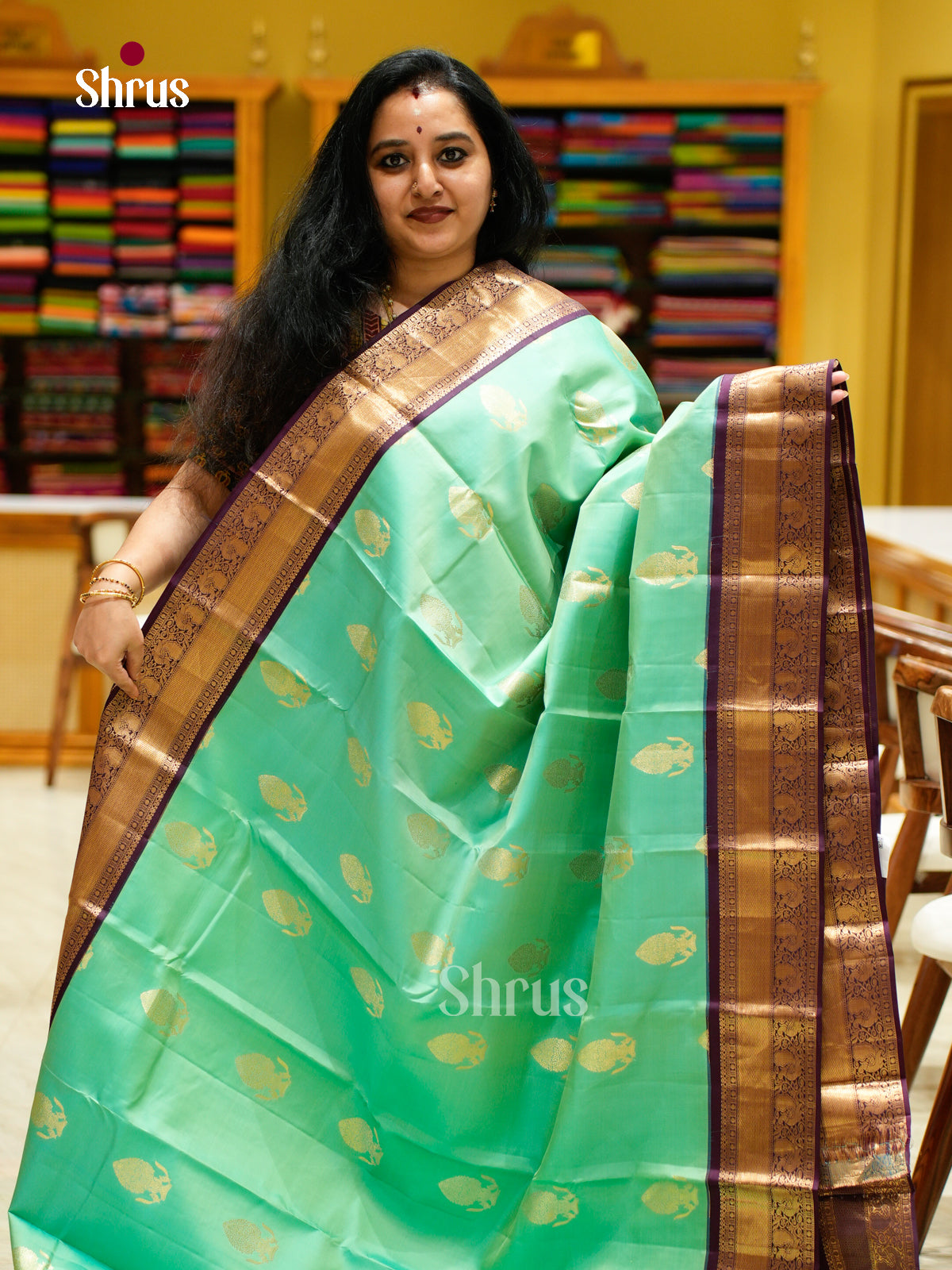 Kanchipuram silk Saree - EES27001 - Shop on Shrus.com