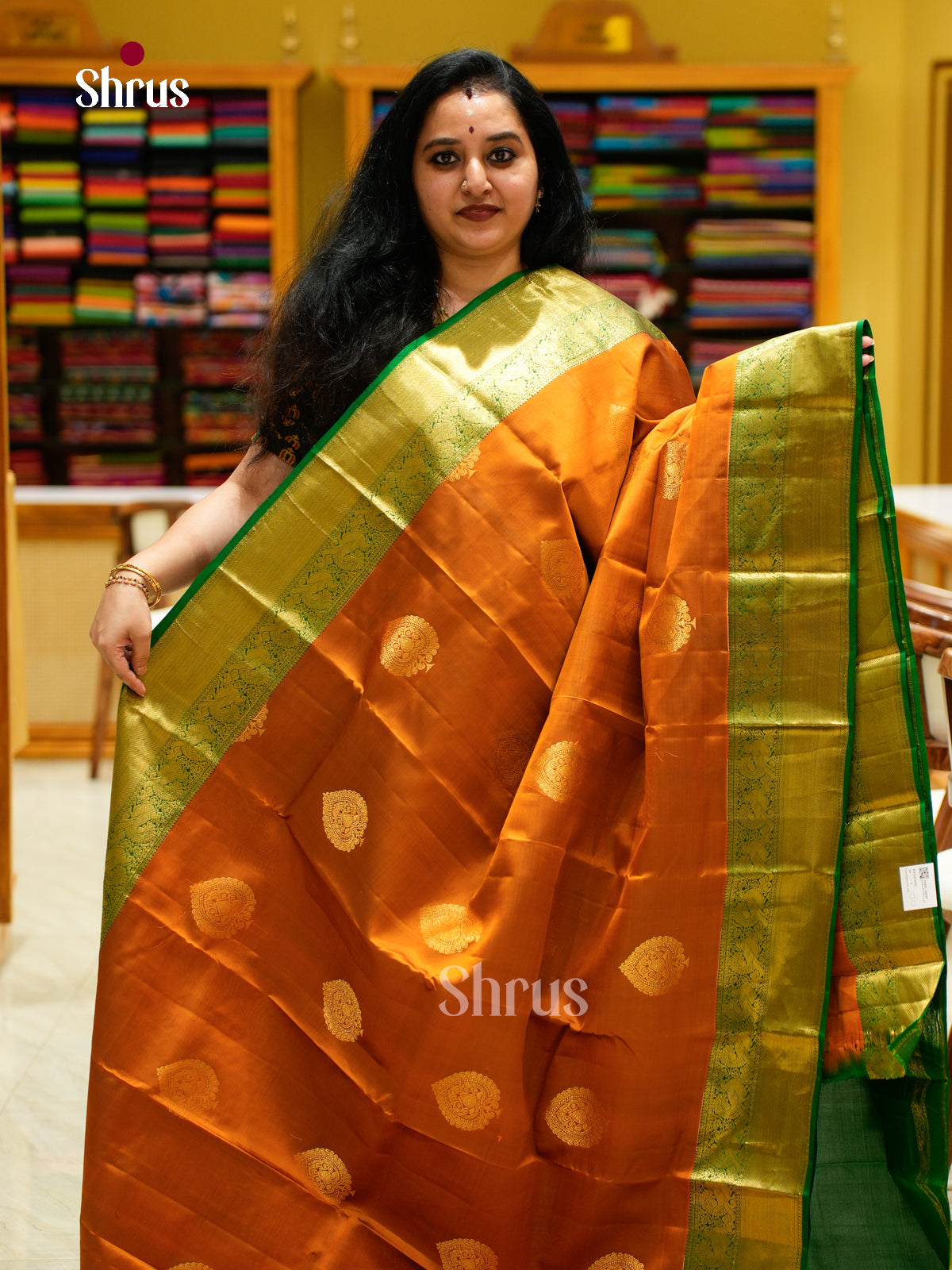 Kanchipuram silk Saree - EES27056
