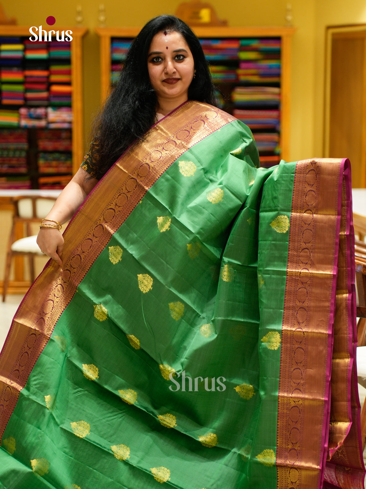 Kanchipuram silk Saree - EES27057