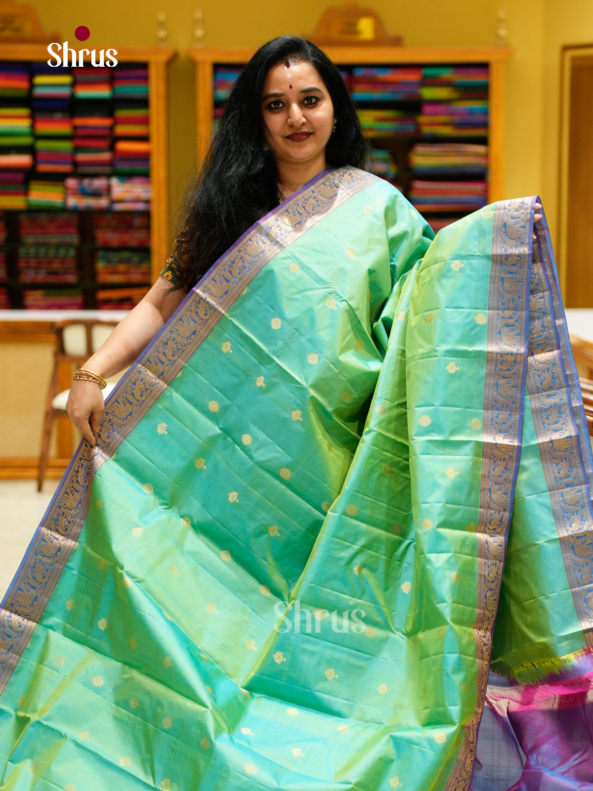 Kanchipuram silk Saree - EES27066