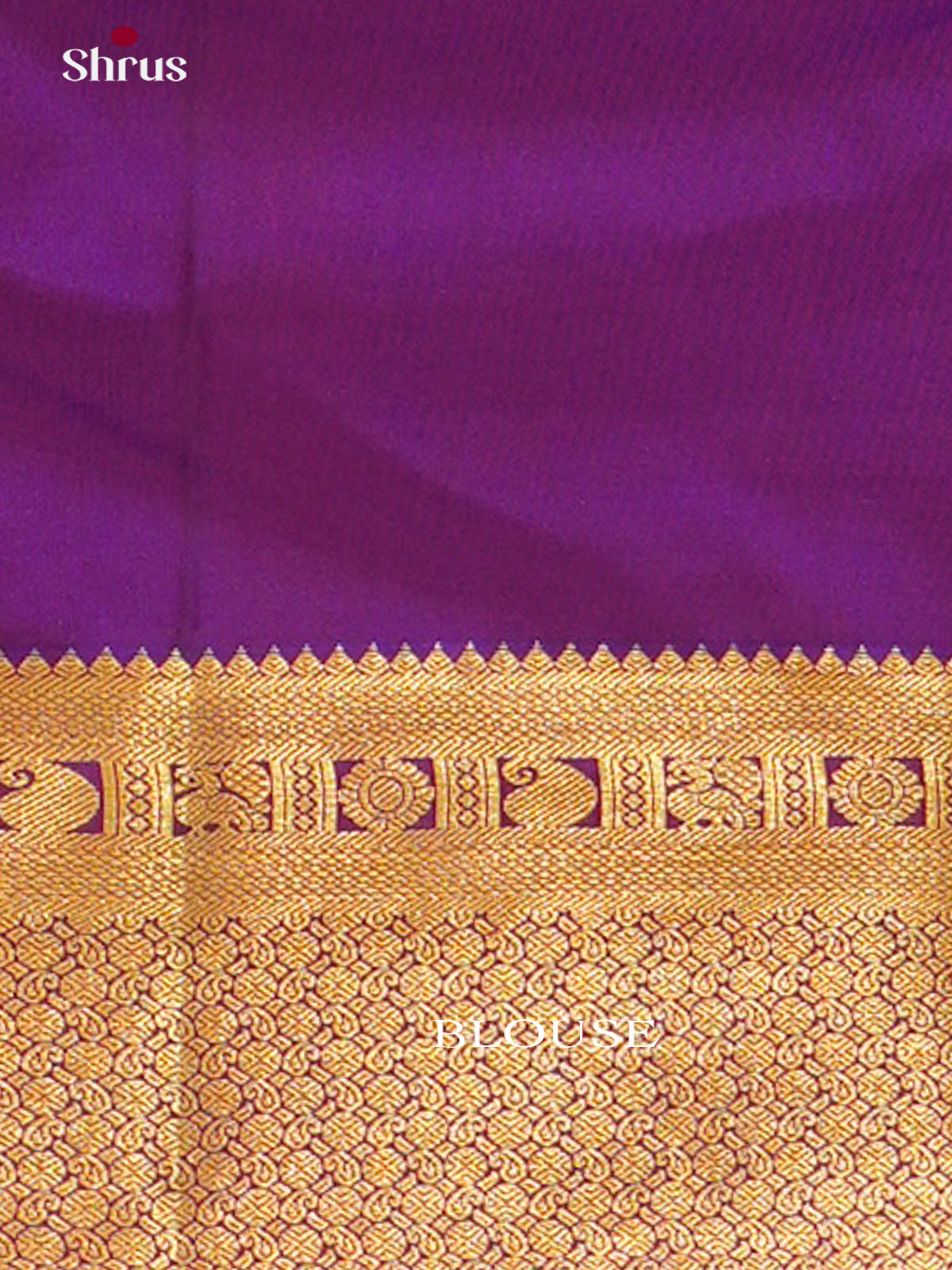 Kanchipuram silk Saree - EES27097 - Shop on Shrus.com