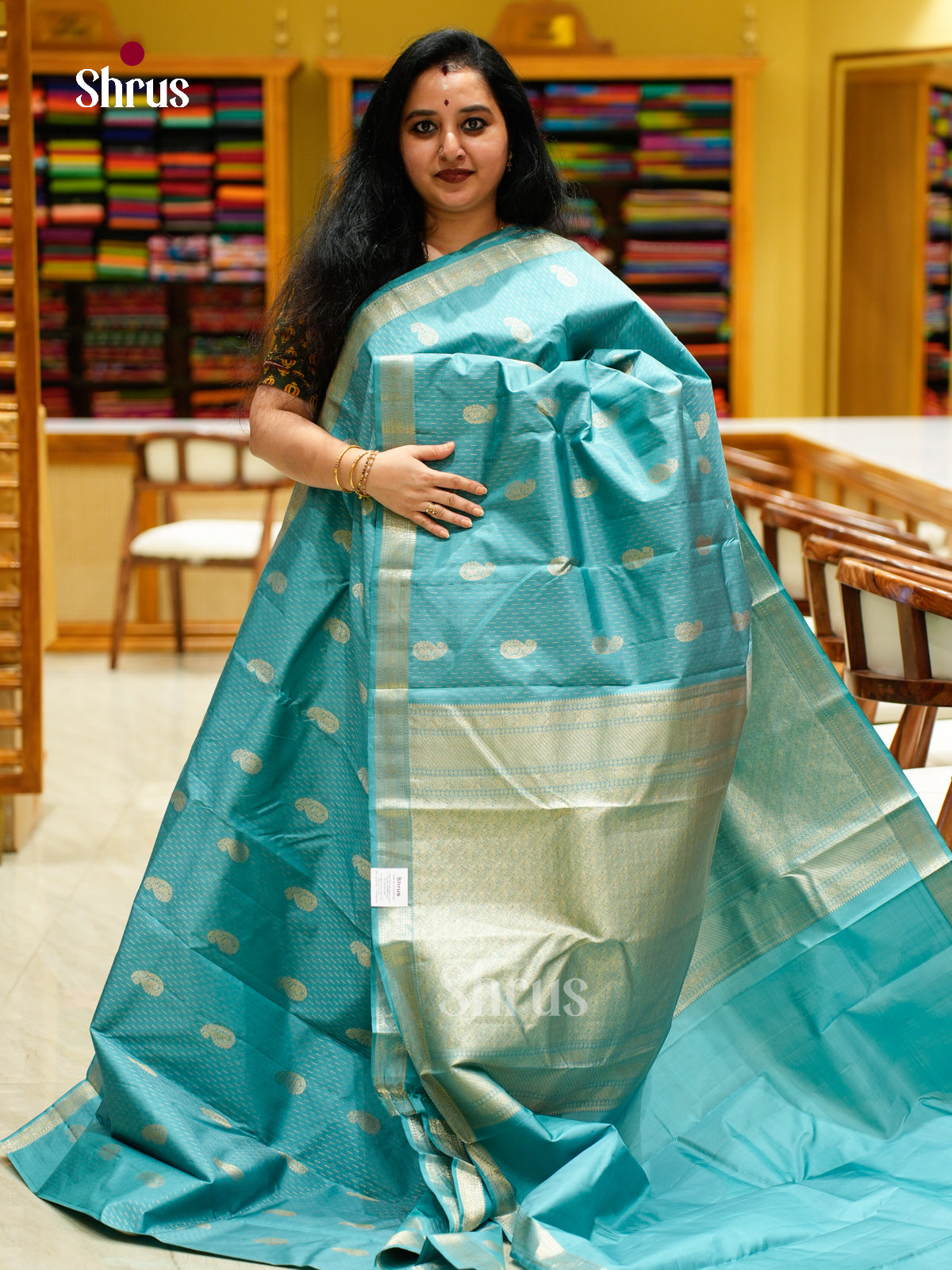 Kanchipuram silk Saree - EES27112