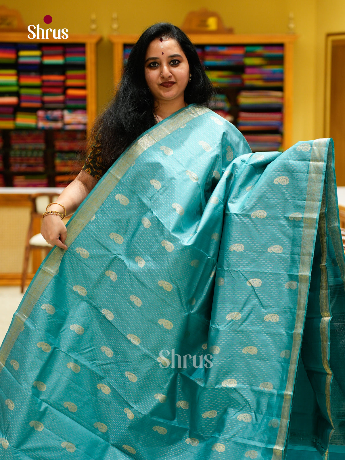 Kanchipuram silk Saree - EES27112