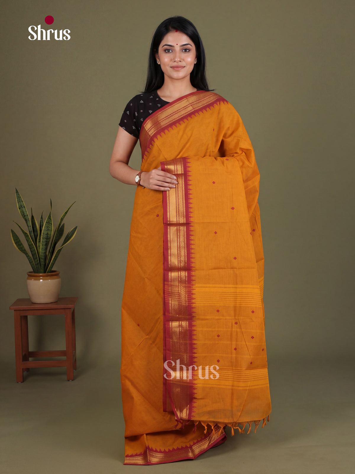 Chettinad Cotton Saree - EES27135