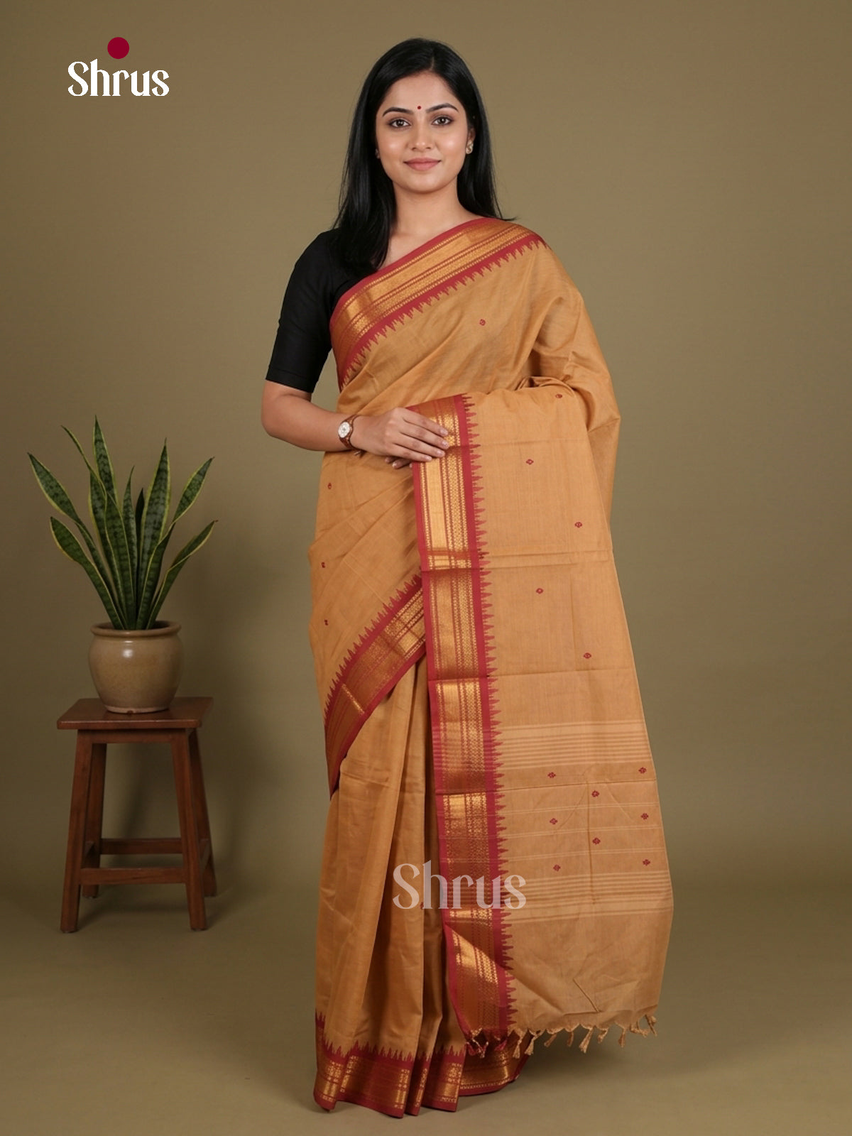 Chettinad Cotton Saree - EES27141