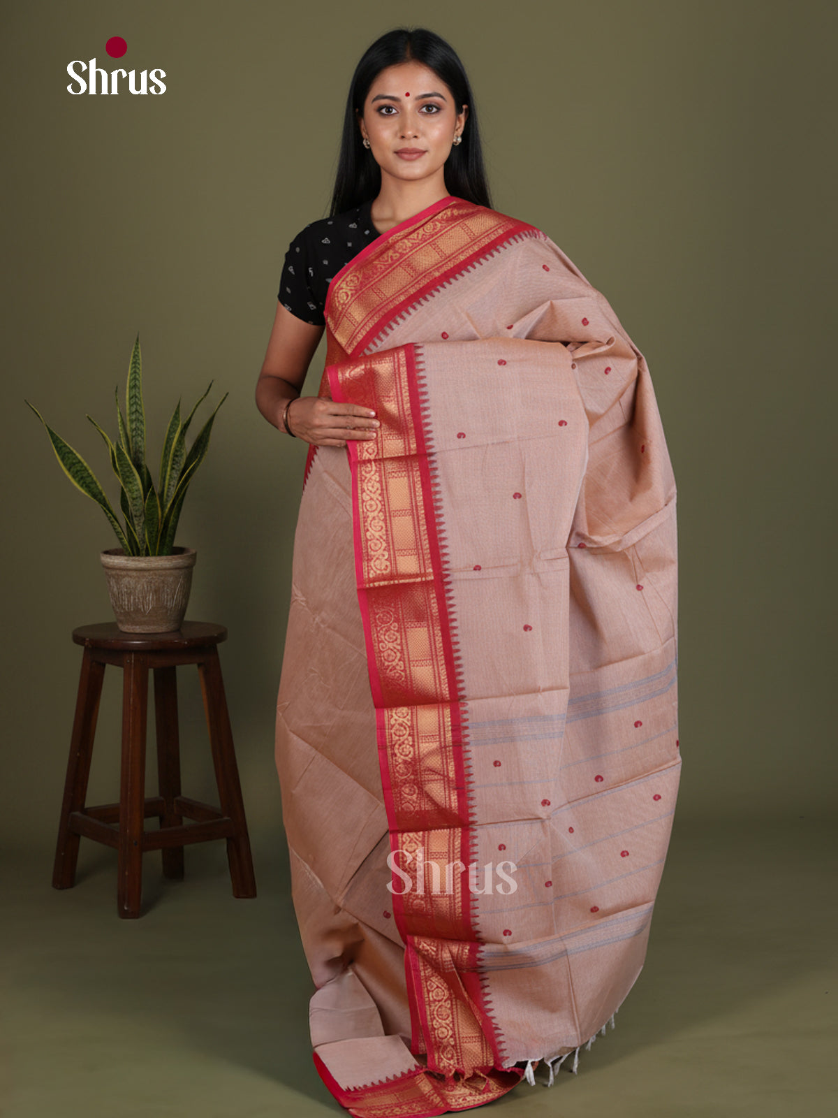 Chettinad Cotton Saree - EES27149