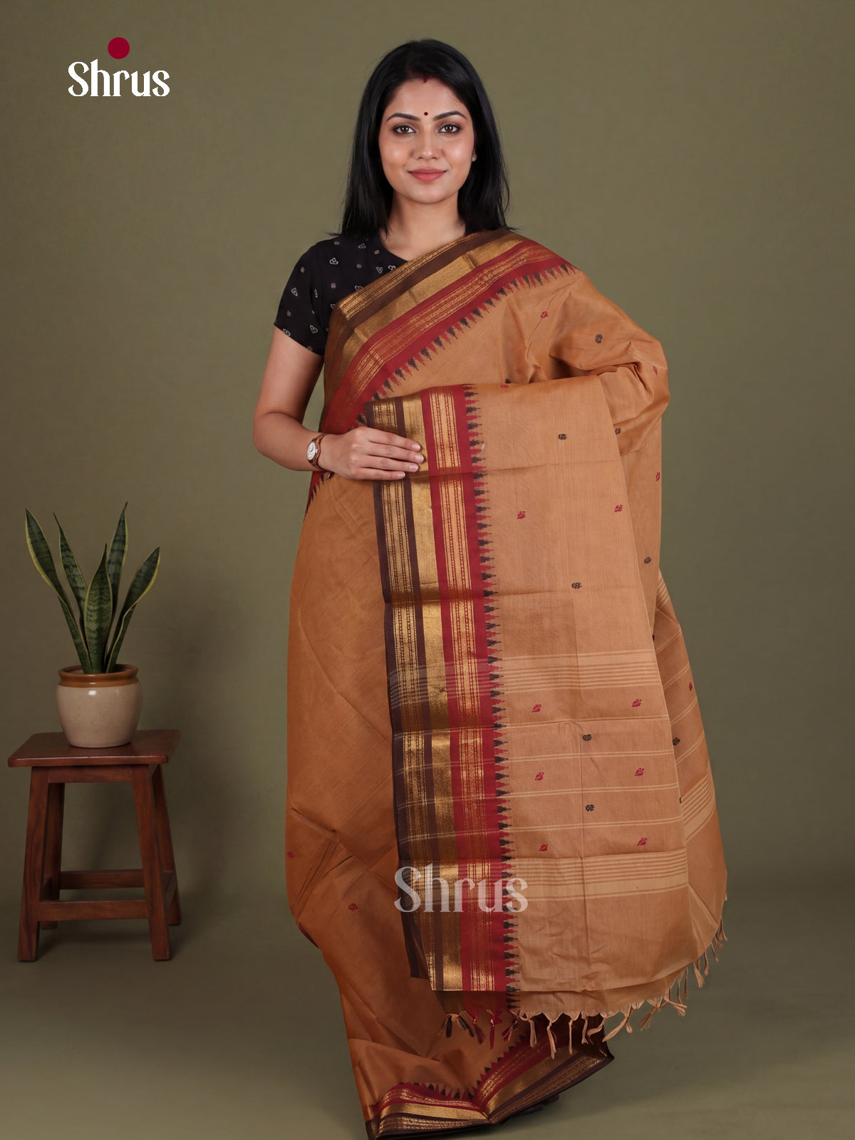 Chettinad Cotton Saree - EES27151