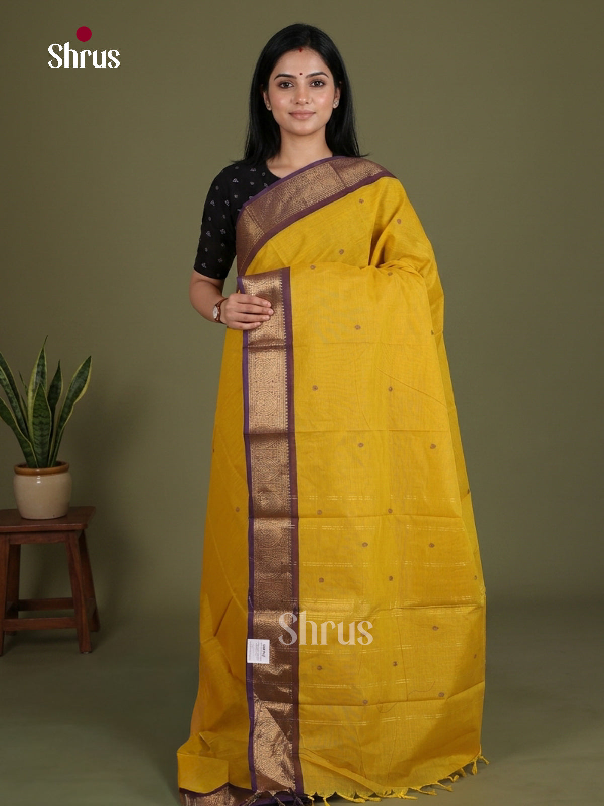 Chettinad Cotton Saree - EES27212