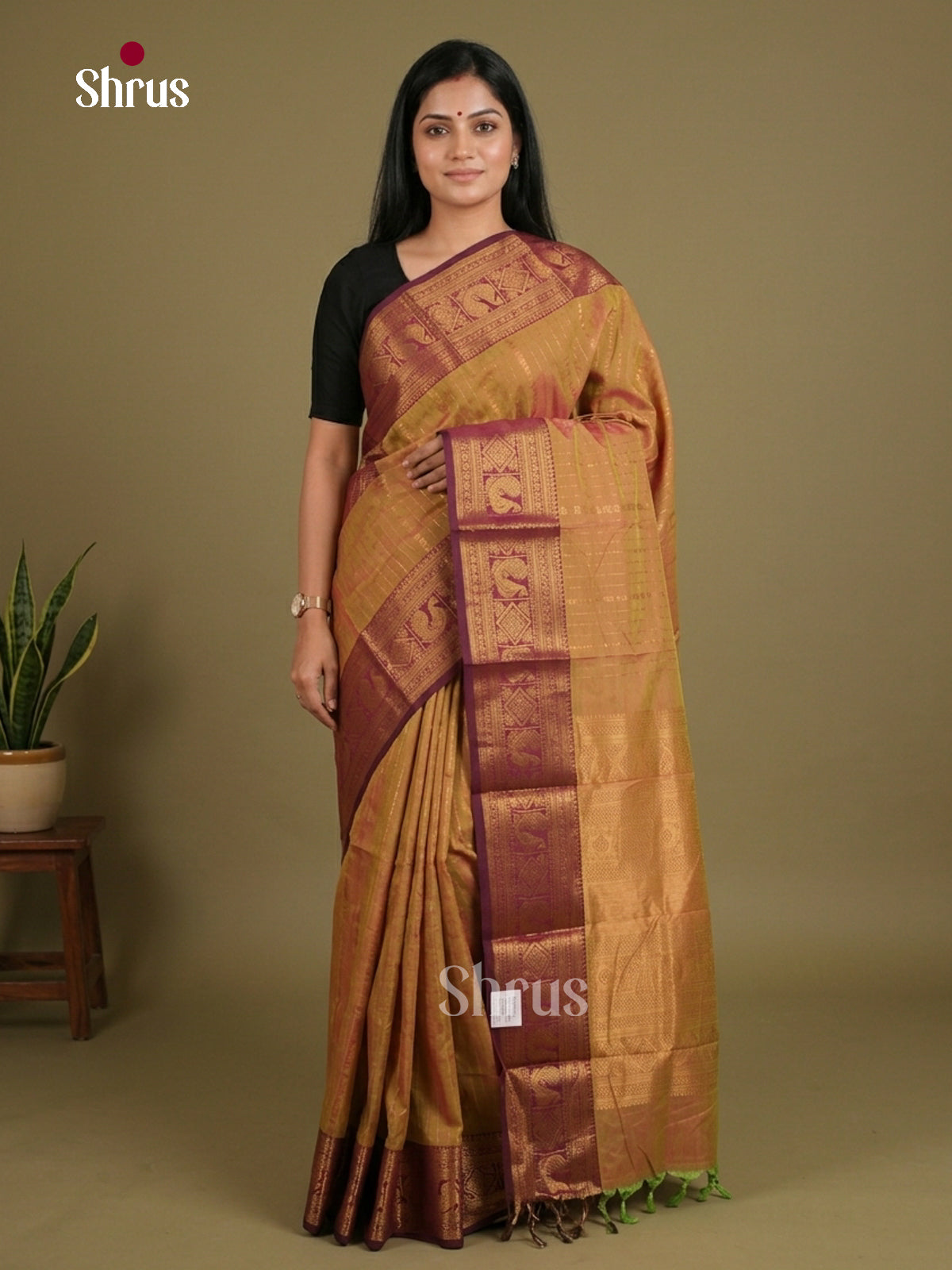 Chettinad Cotton Saree - EES27226