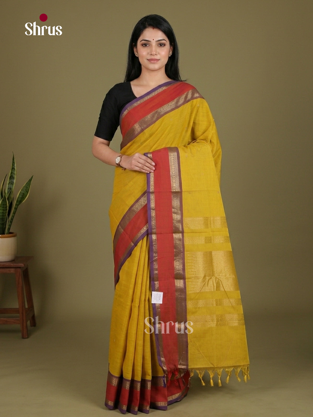 Chettinad Cotton Saree - EES27264
