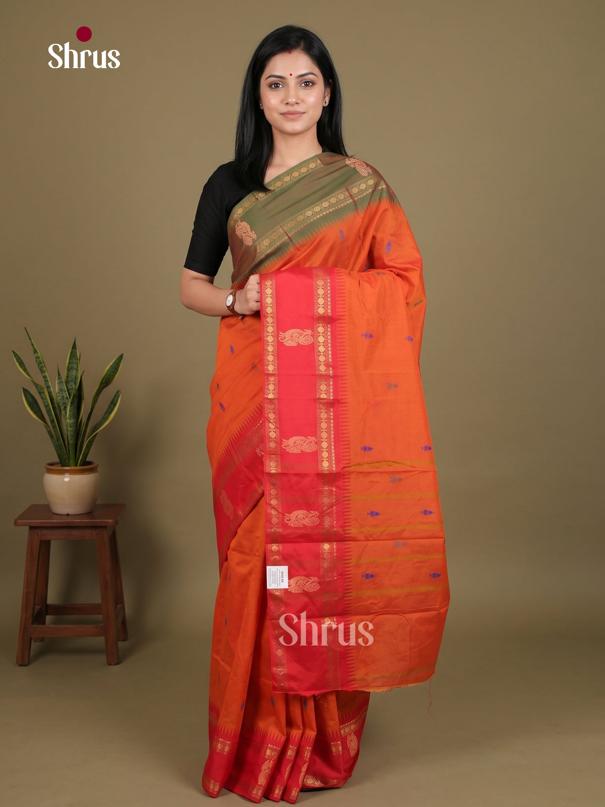 Chettinad Mix Cotton Saree - EES28031