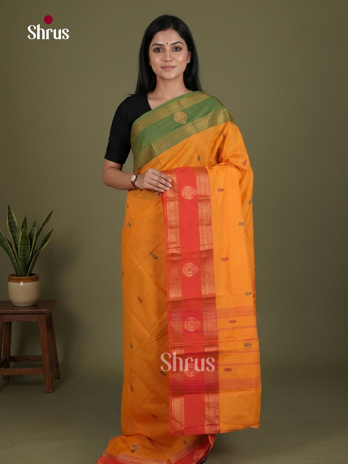 Chettinad Mix Cotton Saree - EES28032