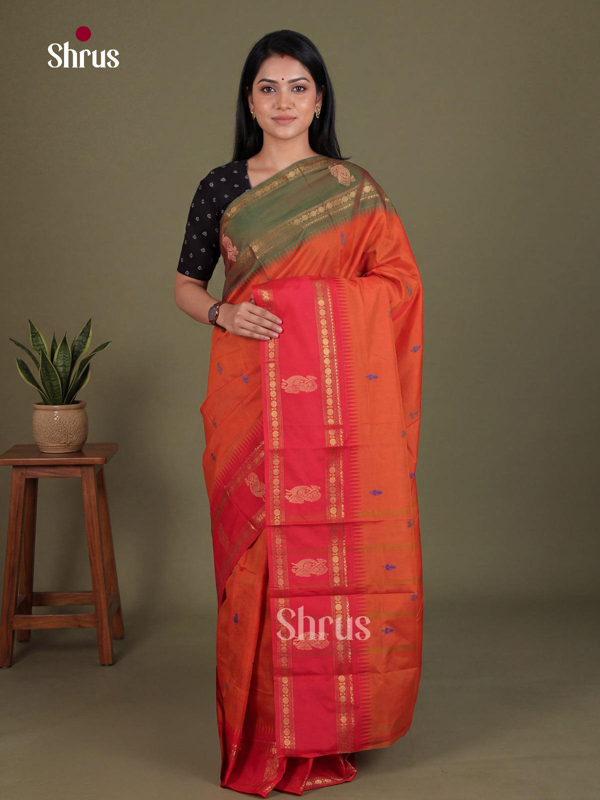 Chettinad Mix Cotton Saree - EES28035