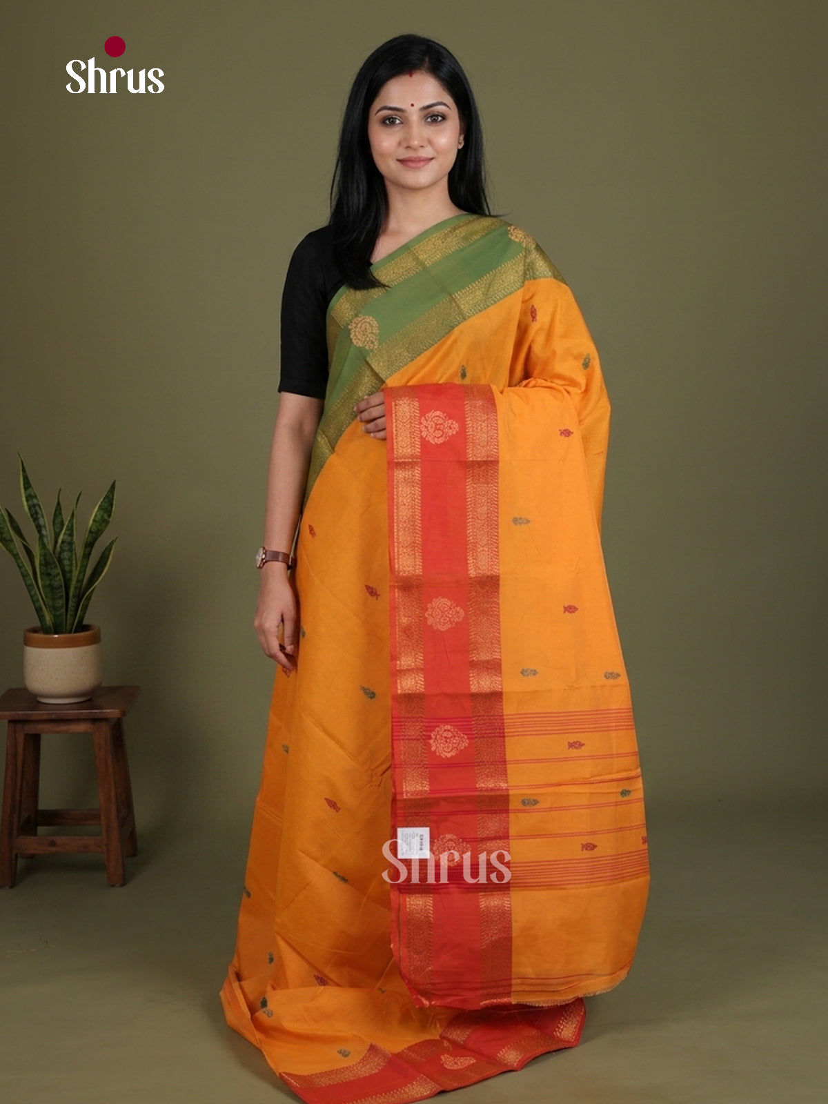 Chettinad Mix Cotton Saree - EES28037