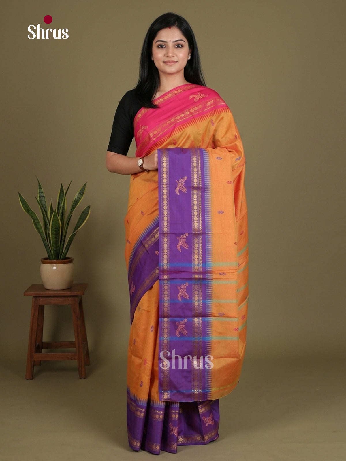 Chettinad Mix Cotton Saree - EES28040
