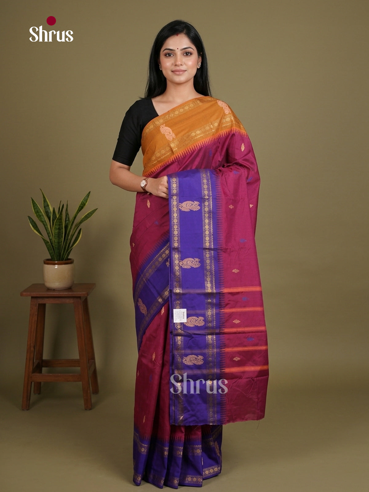 Chettinad Mix Cotton Saree - EES28043