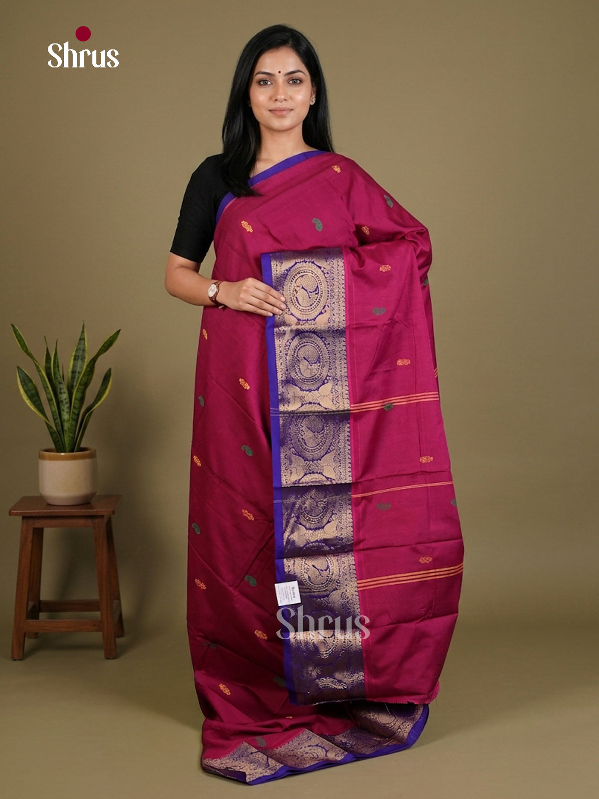 Chettinad Mix Cotton Saree - EES28055