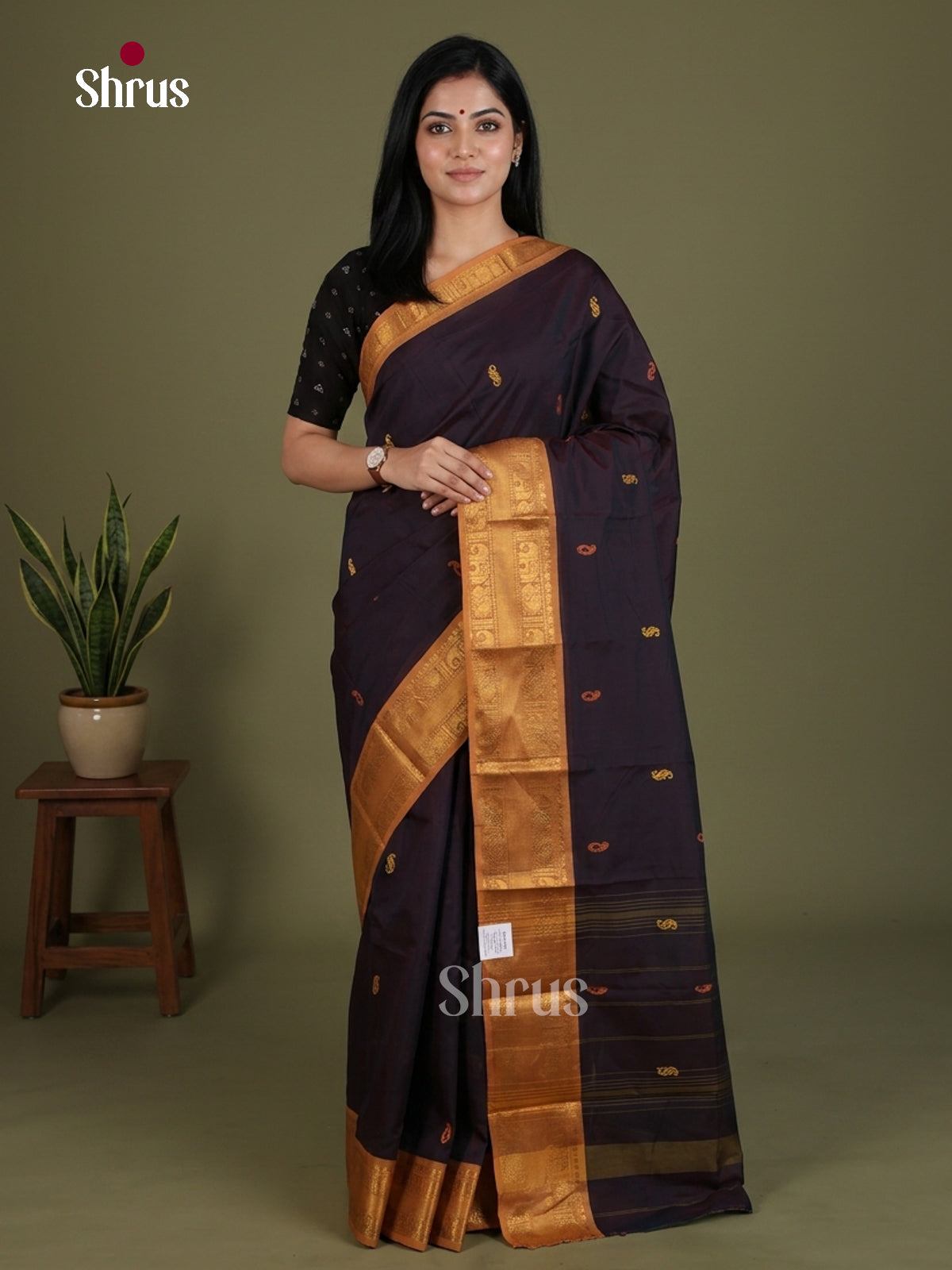 Chettinad Mix Cotton Saree - EES28076