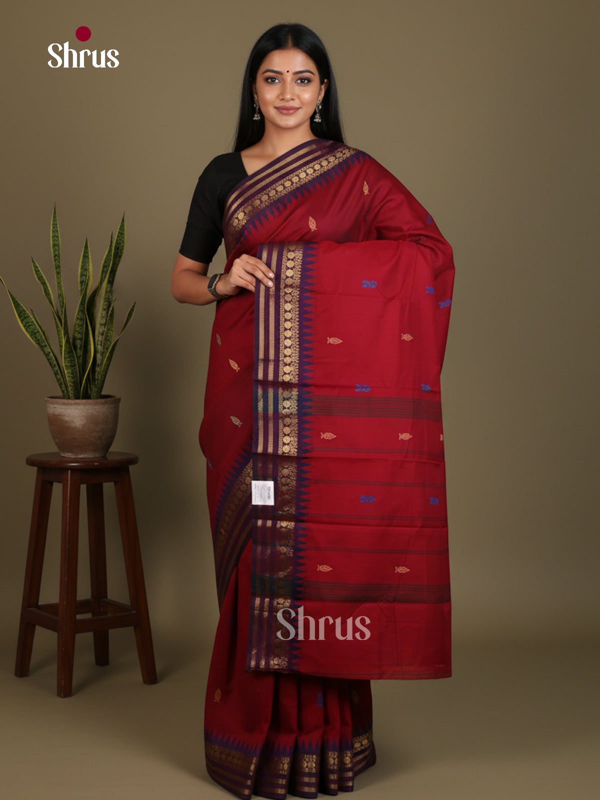 Chettinad Mix Cotton Saree - EES28093