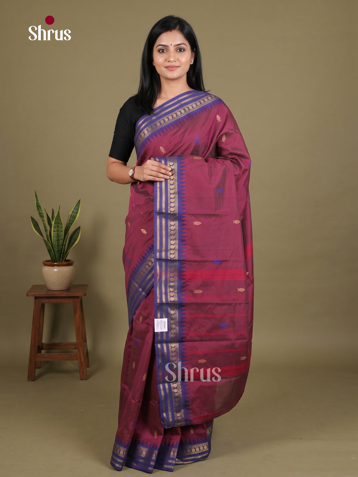 Chettinad Mix Cotton Saree - EES28094