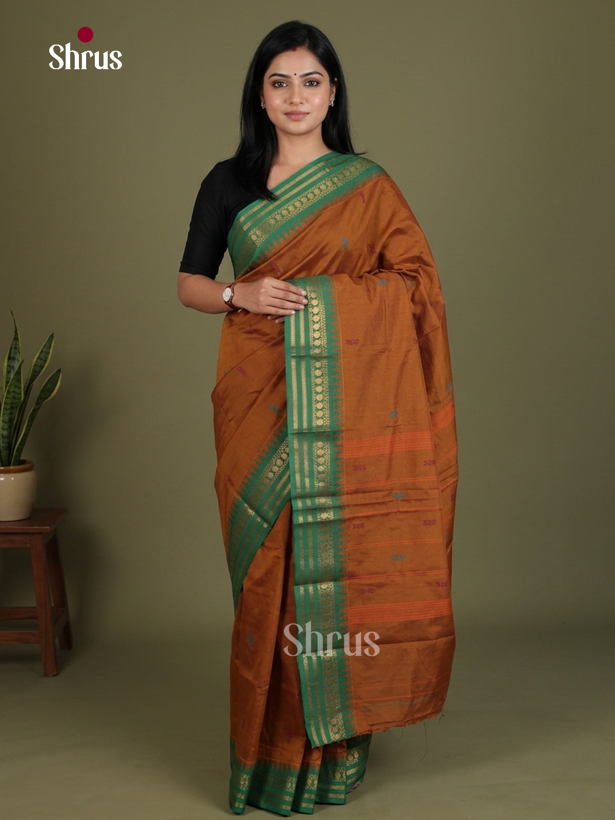 Chettinad Mix Cotton Saree - EES28095