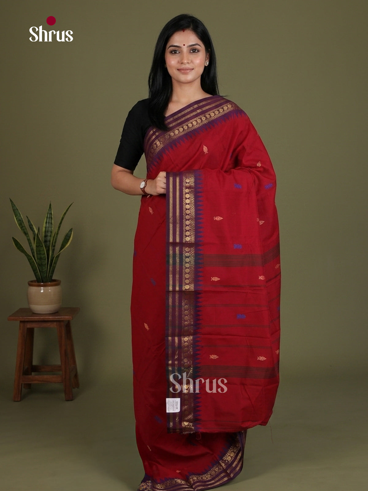 Chettinad Mix Cotton Saree - EES28101