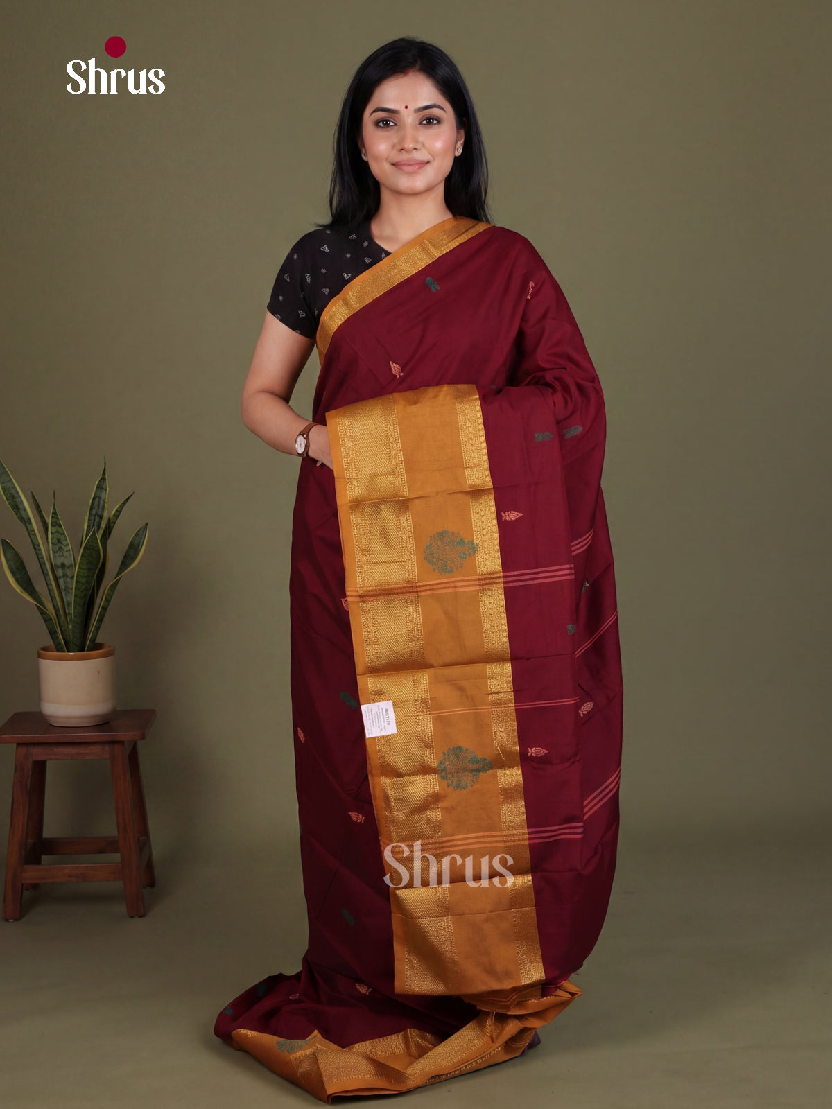 Chettinad Mix Cotton Saree - EES28107